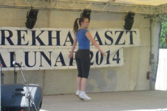 falunapi-kepek2014-032