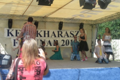 falunapi-kepek2014-035