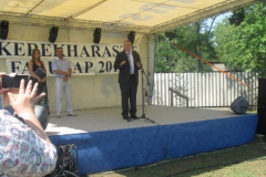 falunapi-kepek2014-044