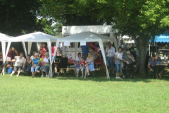 falunapi-kepek2014-046