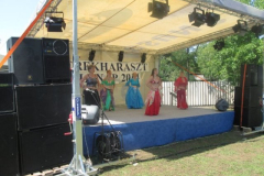 falunapi-kepek2014-050