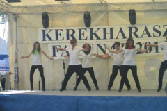 falunapi-kepek2014-052