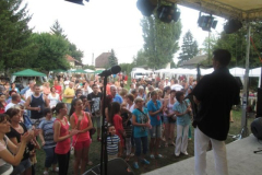 falunapi-kepek2014-069
