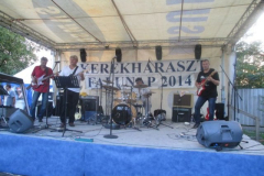 falunapi-kepek2014-083