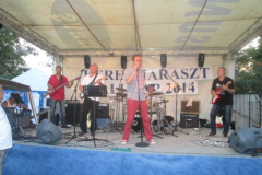 falunapi-kepek2014-085