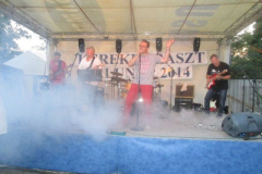 falunapi-kepek2014-086