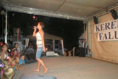 falunapi-kepek2014-087