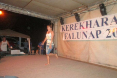 falunapi-kepek2014-088