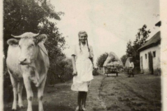szi_e_1957