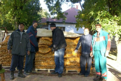 burgonyaosztas-009