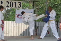 dscf4734