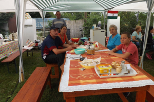 Falunap 2016