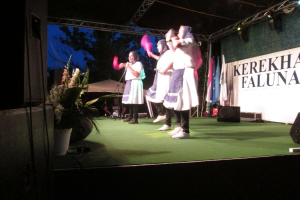 Falunap 2017