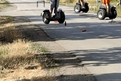 20260801_162050