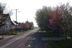 IMGP2400