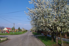 IMGP2401