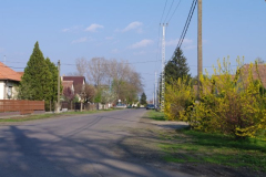 IMGP2413