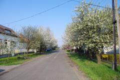 IMGP2416
