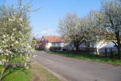 IMGP2423