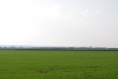 IMGP2426
