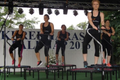 falunap2016106