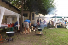 falunap201613