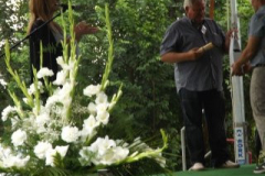 falunap2016133
