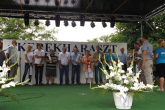 falunap2016135