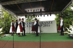falunap2016141
