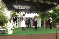falunap2016142