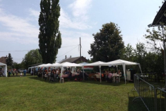 falunap2016143