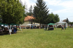 falunap2016144