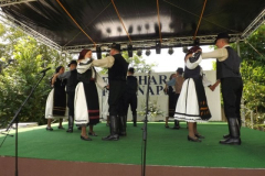 falunap2016145