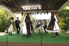 falunap2016146