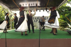 falunap2016147