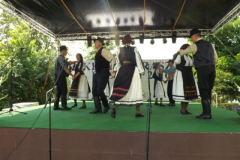 falunap2016148