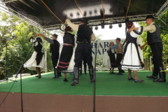 falunap2016149