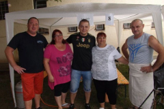 falunap201616