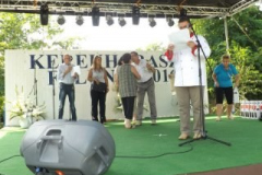 falunap2016165