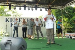 falunap2016166