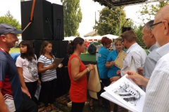 falunap2016185