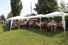 falunap2016192