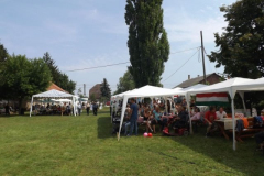 falunap2016193