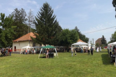 falunap2016194