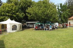 falunap2016195