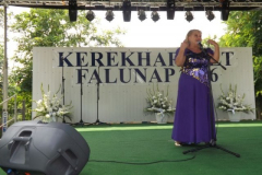 falunap2016200