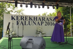 falunap2016201