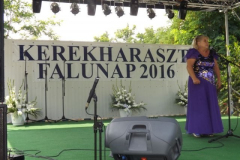 falunap2016202
