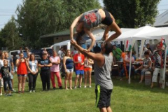 falunap2016241