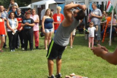 falunap2016245